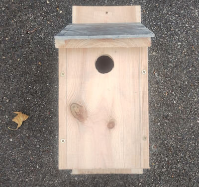 Small bird box